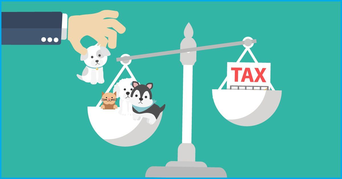 Claiming Pets as Dependents on Taxes What You Need to Know.jpg